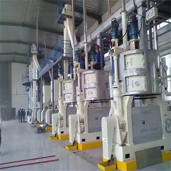 Ligne de production de presse à huile de palme hydraulique 30-50 kg/h automatique