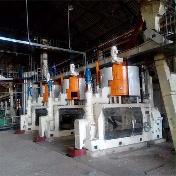 Grande machine de fabrication d’huile de sésame en acier inoxydable/huile hydraulique