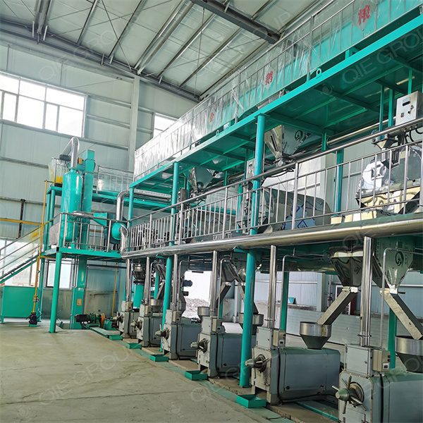 ligne de production de presse machine de presse à froid d’huile de fruit de palme au Bénin