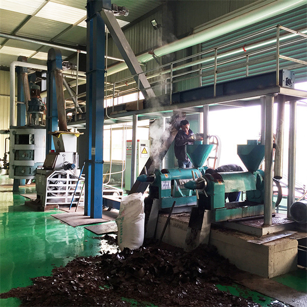 produire directement des machines automatiques de moulin à huile de noix de coco à Madagascar