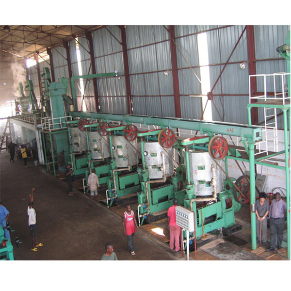 Ligne de production de presse à huile de noix pressée à vis ventes chaudes de Madagascar