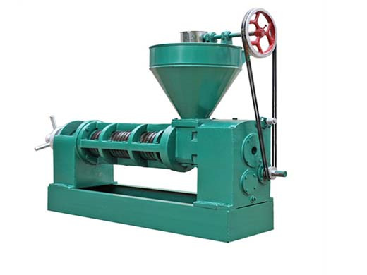 Grandes machines automatiques de moulin à huile de vente chaude au Bénin