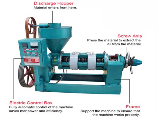 machines de fabrication d’huile de coco au Bénin pressage d’huile