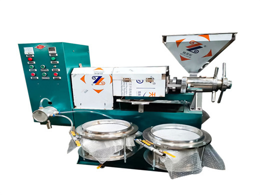 Usine de machine d’extraction d’huile de noix de karité approuvée par la CE avec la CE