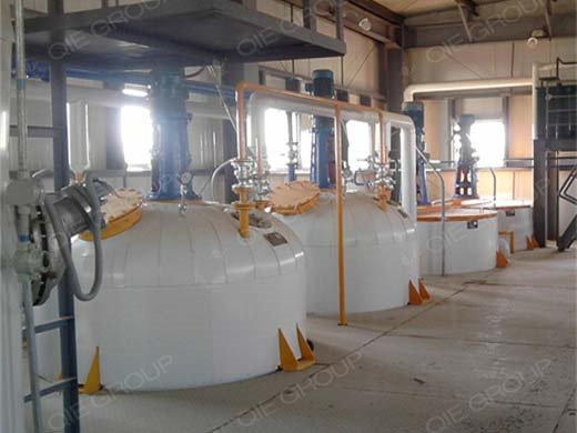 Extracteur électronique de pression d’huile nutrichef pkopr15 au Tchad