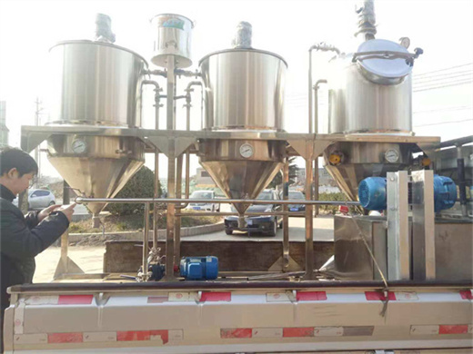 Presse à huile à vis automatique 200-300 kg/h à vendre au Cameroun