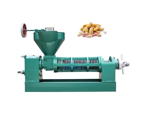 machine d'extraction d'huile de graines de pivoine pressée à froid en chine