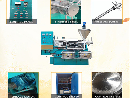 machine de raffinage d'huile de coton au tournesol du congo